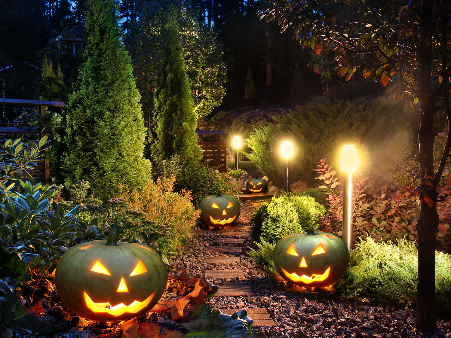 Rock sales on halloween