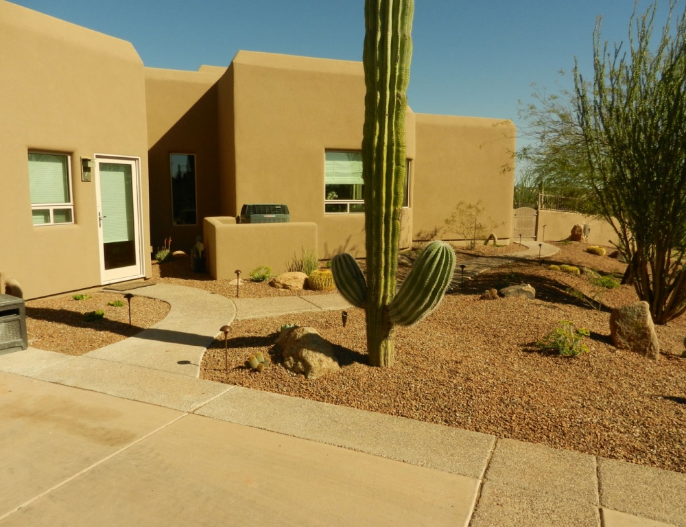 Desert Landscape Transformation