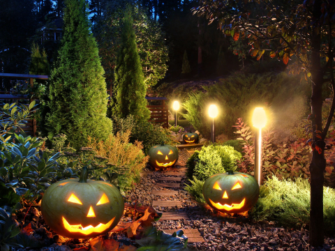 Fun Ways to Decorate for Halloween and Christmas in a Rock Landscape