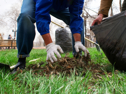 Tools You Need to Maintain Your Rock Landscape