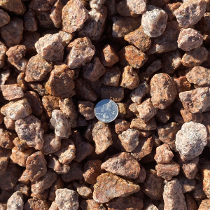 Yavapai Coral