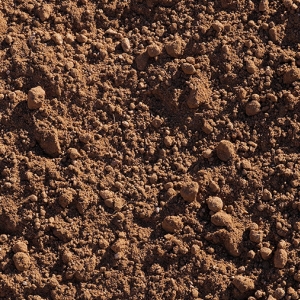 Unscreened Topsoil