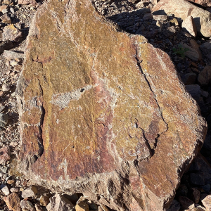 Texas Rose Boulder