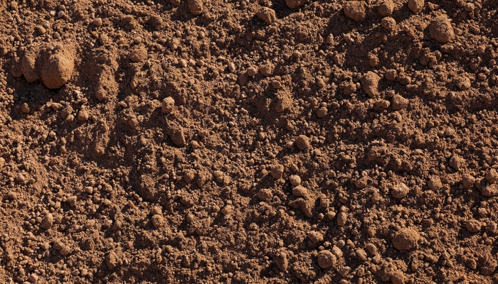 Unscreened Topsoil