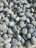 Mexican Pebbles (2-3")