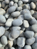 Mexican Pebbles (2-3")